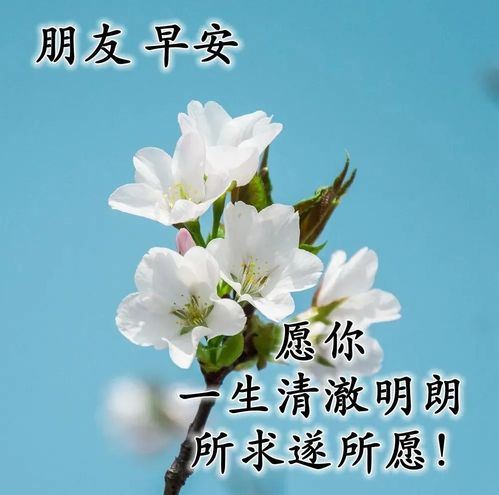 早安话术甜蜜