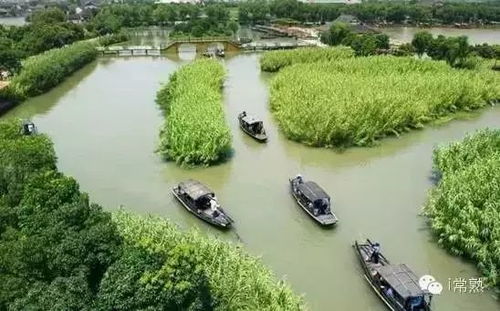 坐了下椅子就要被收费？江西上饶三清山景区回应：已关注，正调查