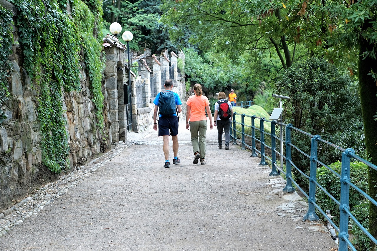 江西婺源，古色古香的油菜花海之旅——全面解析旅行成本与体验价值