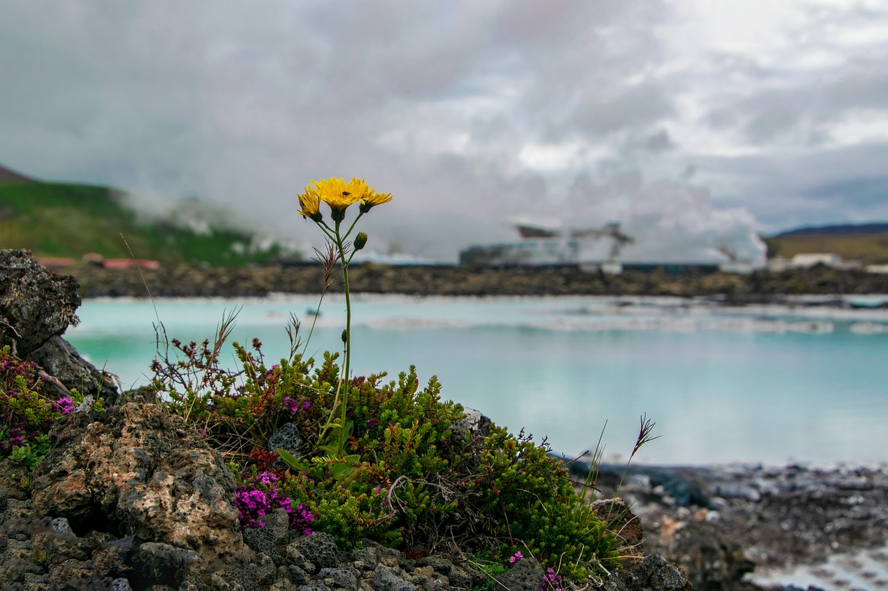 探秘桃花源记桃花岛，遗世独立的东方仙境之旅