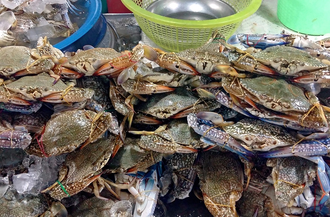 海鲜美食探索—— 烹饪大师的秘密武器，八爪鱼的五味魔法